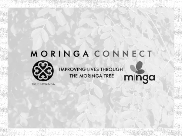 Moringa Connect